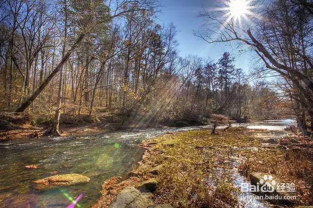 美国租车去哪玩?美国租车最强景点攻略!