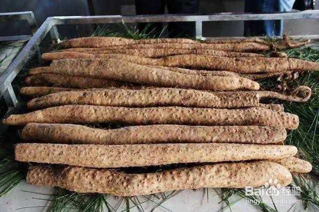 购买山药的几个小技巧？