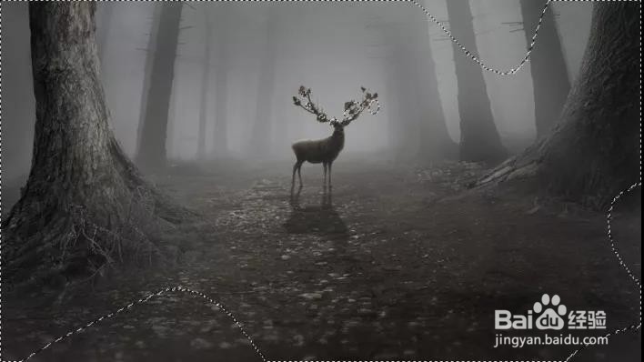 PS:合成一个奇幻神秘的森林场景(下)
