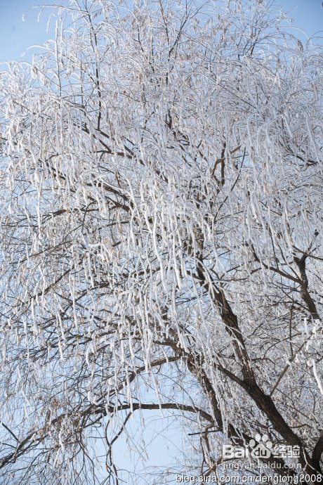 吉林两日亲子游