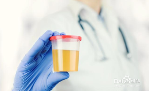 女性须知:叶酸虽好,但别补过量