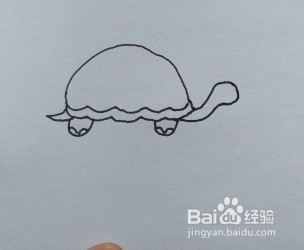 简笔画：乌龟
