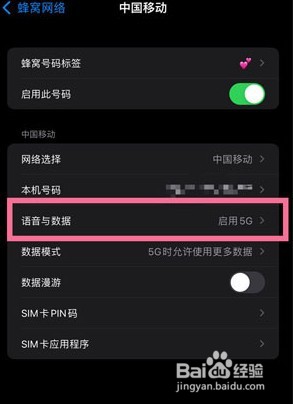苹果手机5g在哪里打开