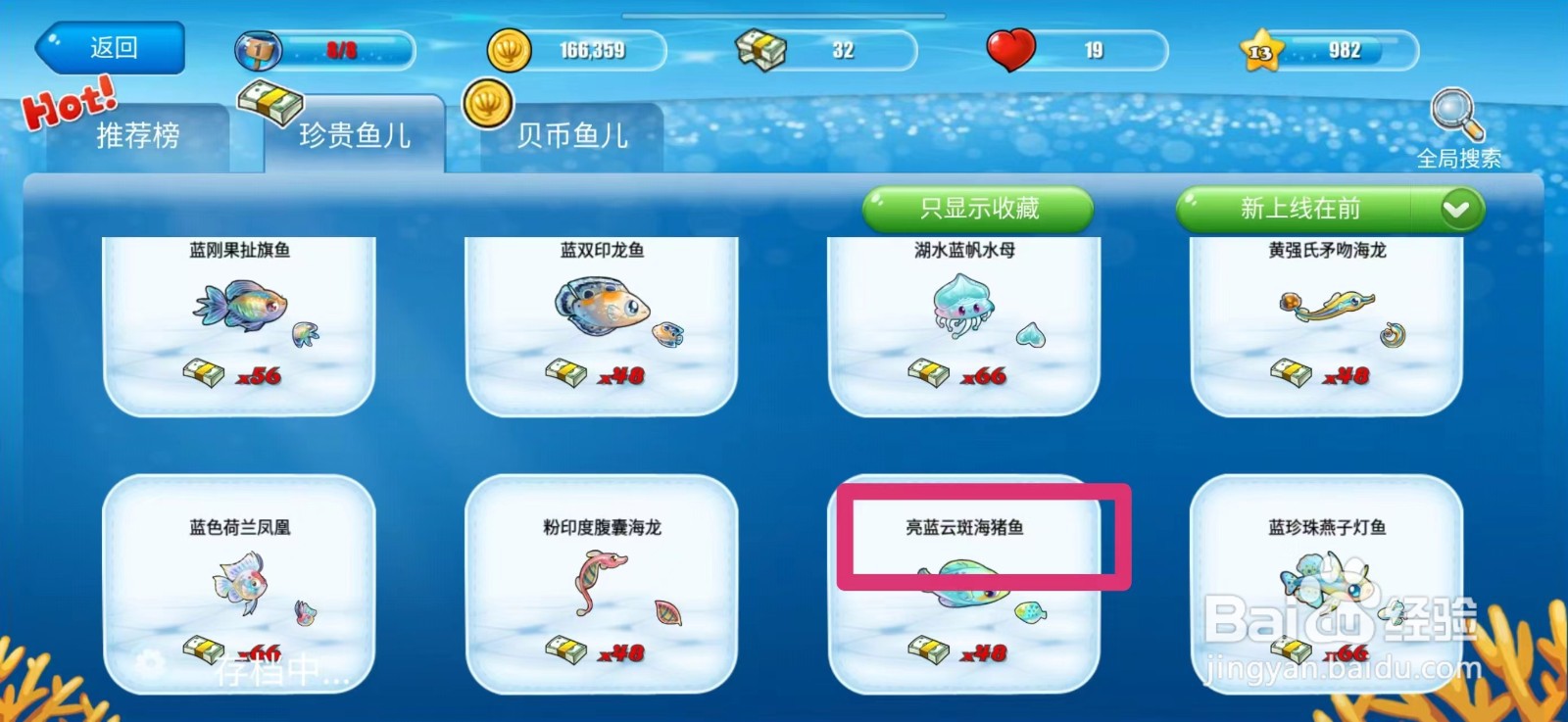 开心水族箱怎么获得亮蓝云斑海猪鱼