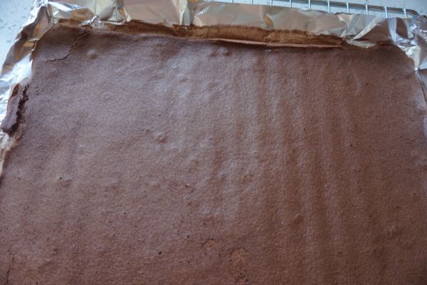 圣诞帽慕斯蛋糕#柏翠辅食节-烘焙零食#