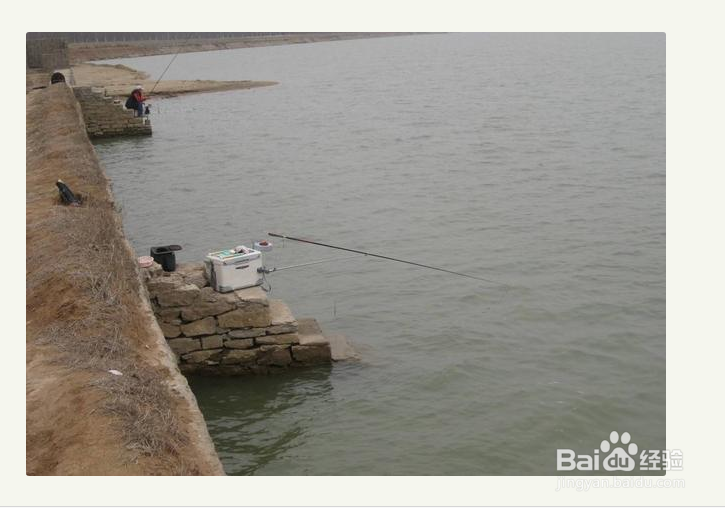 怎样知道大鱼进窝