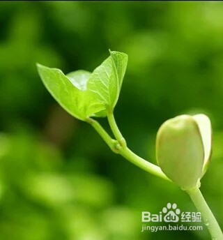 单反相机与手机相机有多大区别