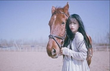 如何不爱一个人