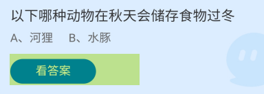 蚂蚁庄园2024.11.1：哪种动物在秋天会储存食物