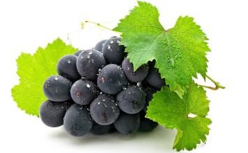 酒桌上千杯不醉的秘诀