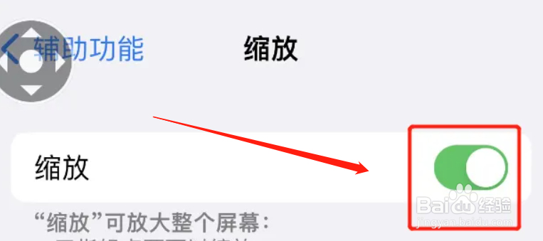 苹果的放大镜功能在哪