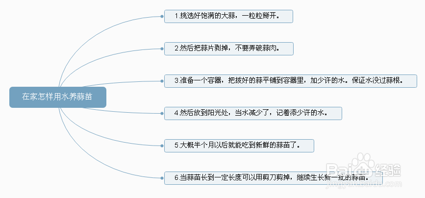 在家怎样用水养蒜苗