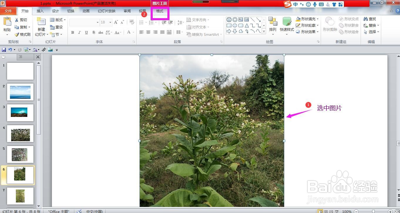 怎样使用PPT设置图片的样式