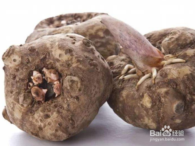 平常吃的魔芋对身体有什么好处?