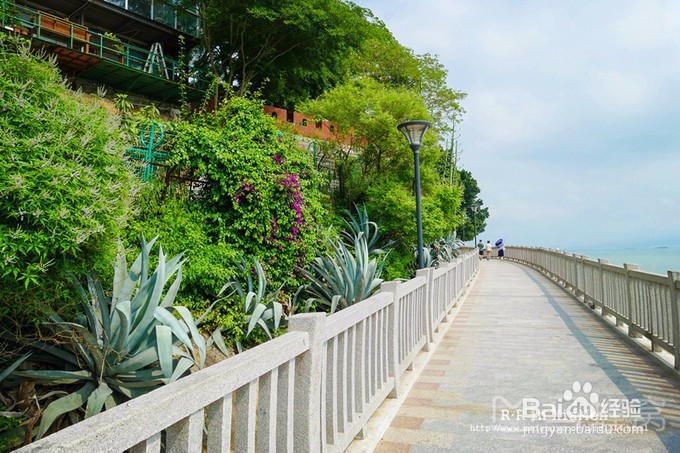 厦门7大必游景点