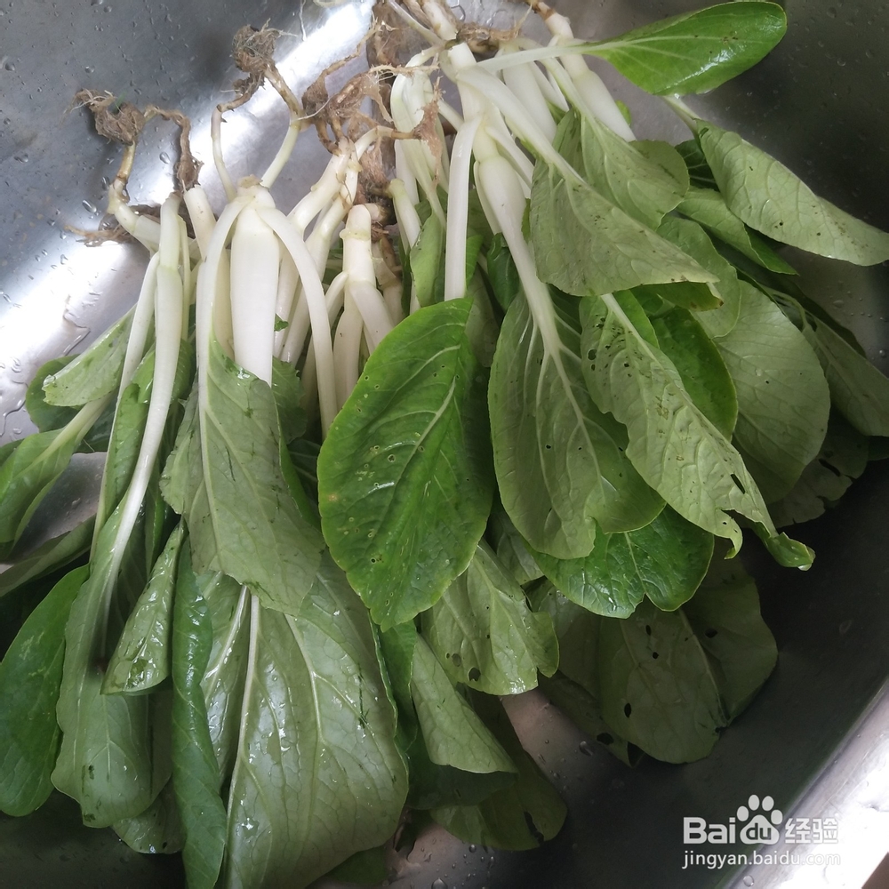 小白菜炒肉怎么炒