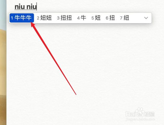 mac电脑怎么输入生僻字