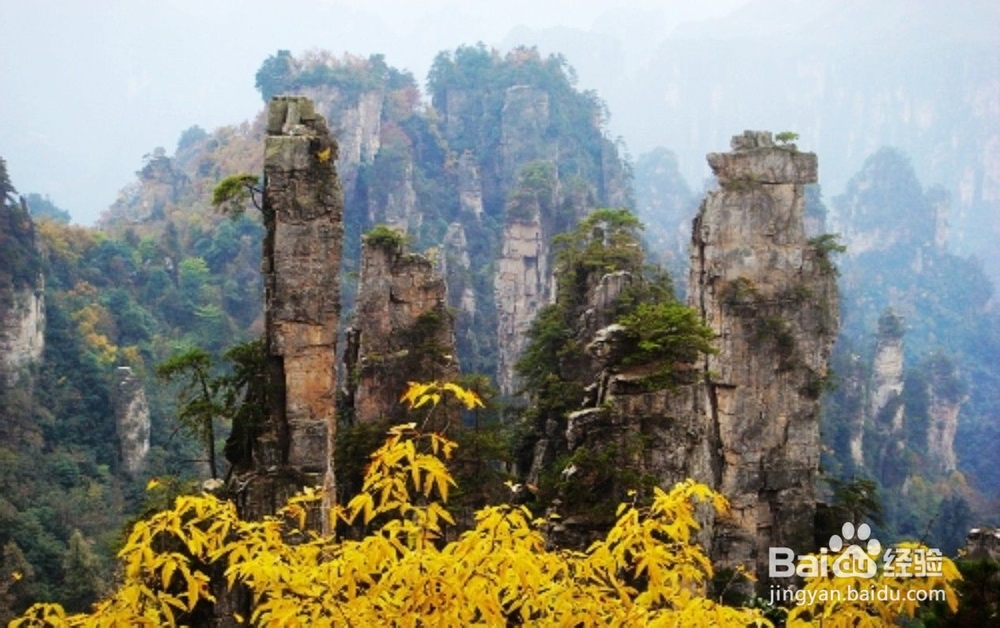 张家界春节自驾游攻略