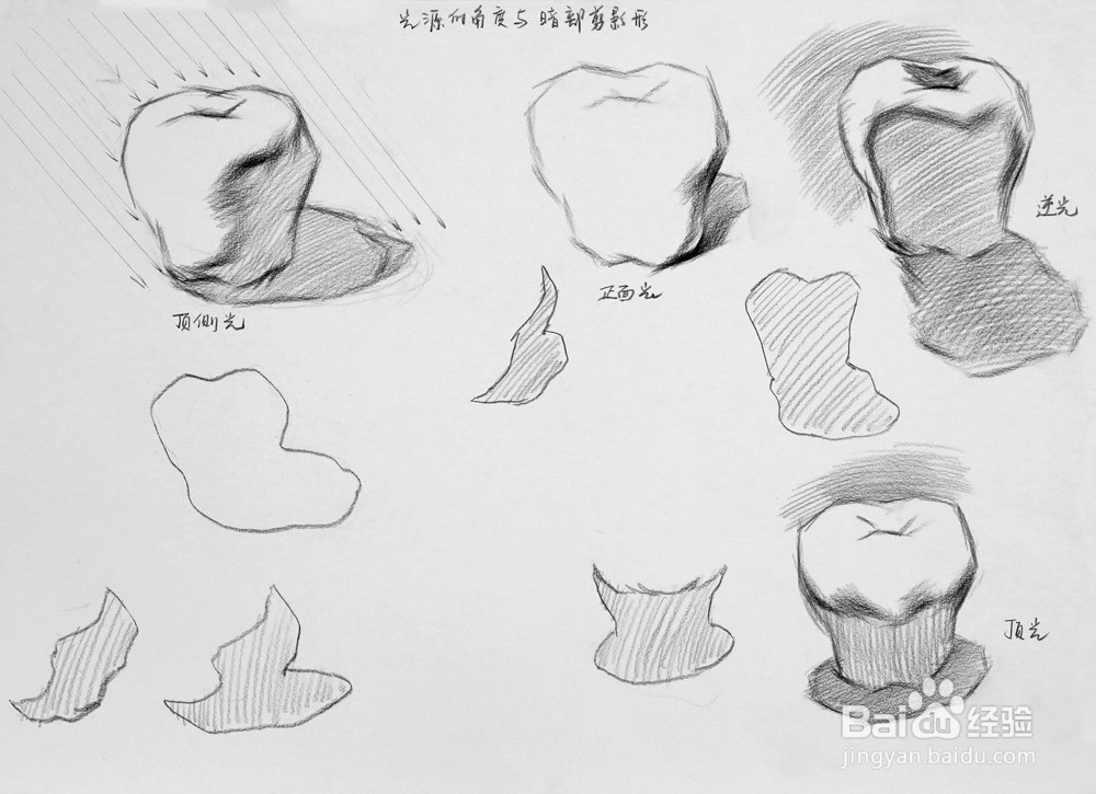 广州厘米画室:单个塑造与质感表现