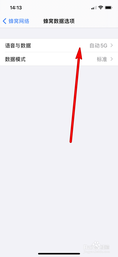 iphone12手机可以使用5G吗
