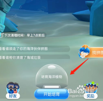 支付宝神奇海洋怎么玩