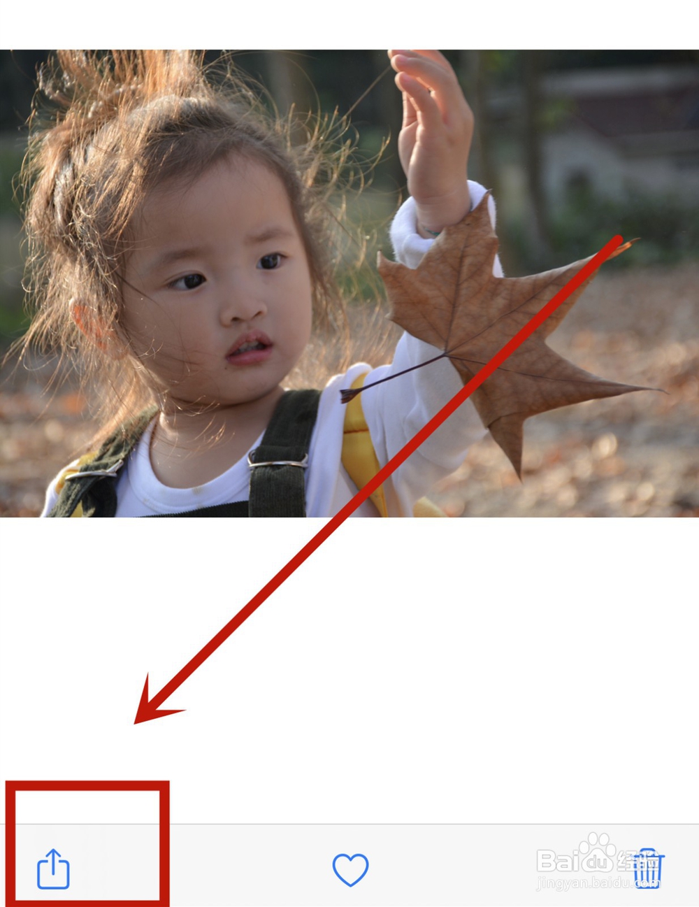 苹果手机怎么隐藏相册中的图片或视频？