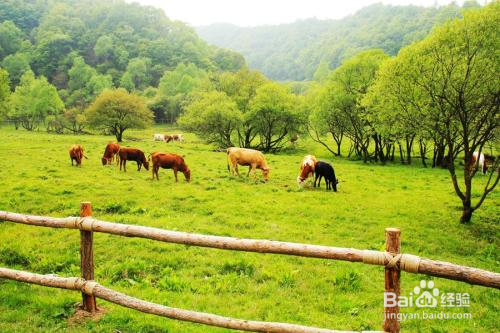 西安到大水川旅游攻略