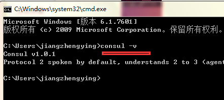 Consul简介及Windows和Linux consul安装_01