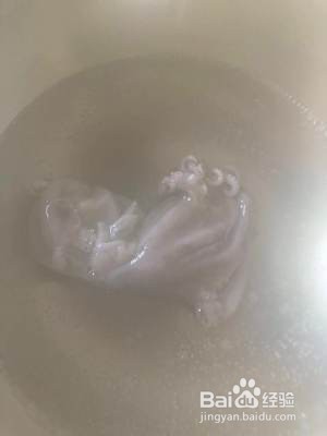 简单操作的酱焖八爪鱼