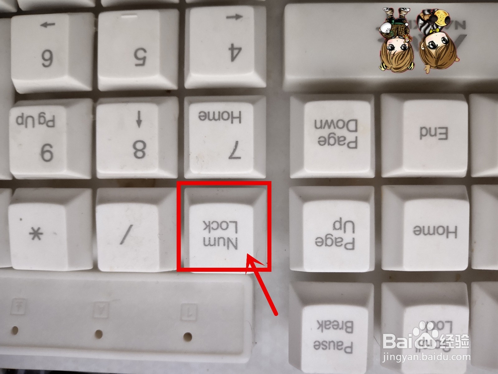怎么让电脑键盘亮