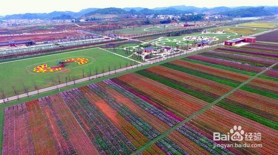 山里江南有哪些景点