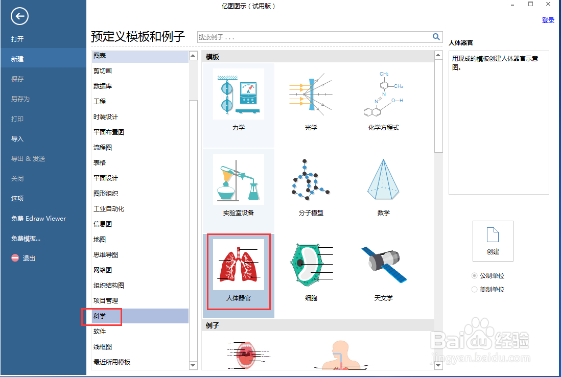 在亿图图示中创建口腔图
