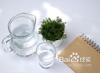 春季减肥最快最有效的方法