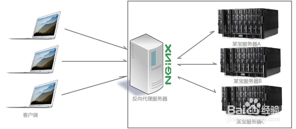 实力了解Nginx