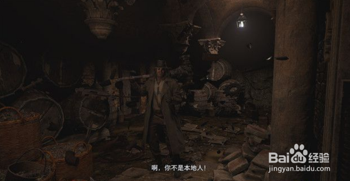 《生化危机8》蒂米特雷斯库城堡-海森伯格试炼