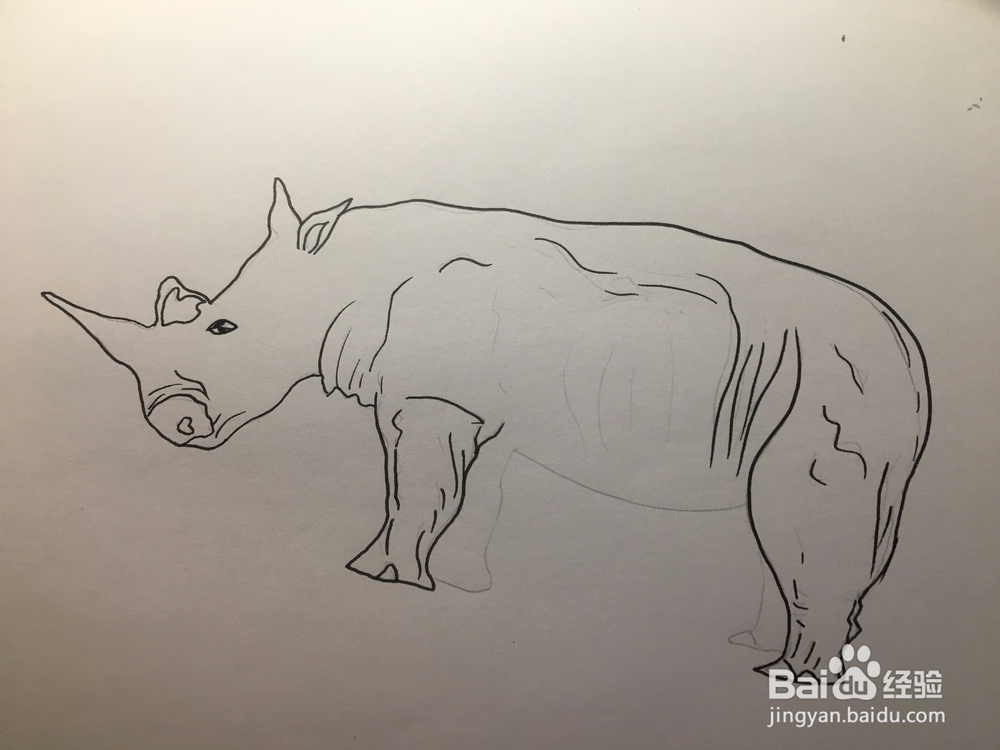 画一只犀牛 犀牛简笔画 幼儿绘画 儿童绘画