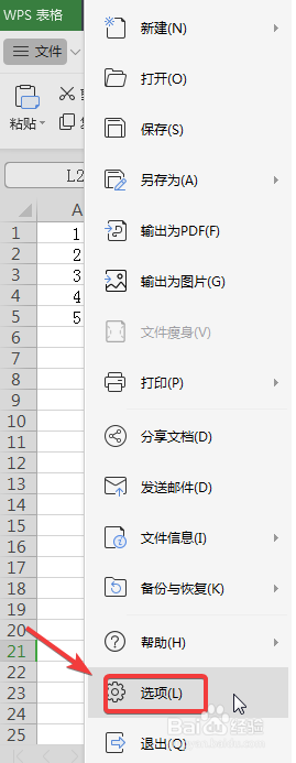 WPS中Excel怎么设置为0的数值不显示？