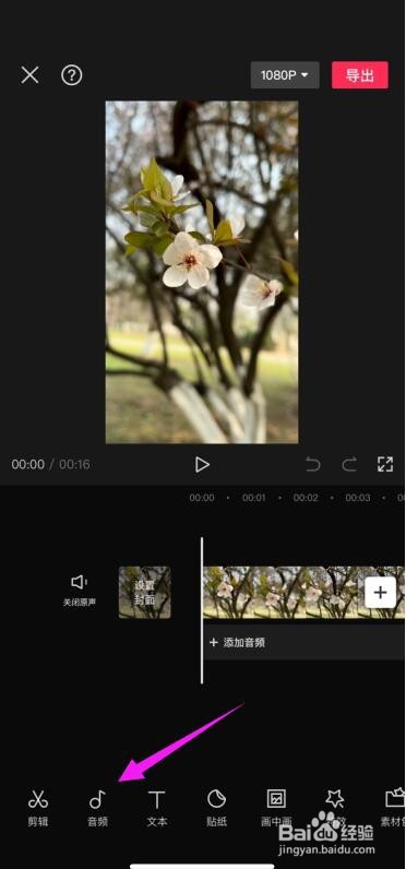 剪映APP怎么给视频加配音