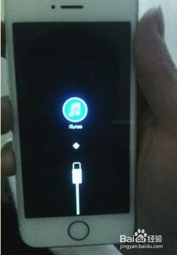 苹果手机全部没有声音怎么办