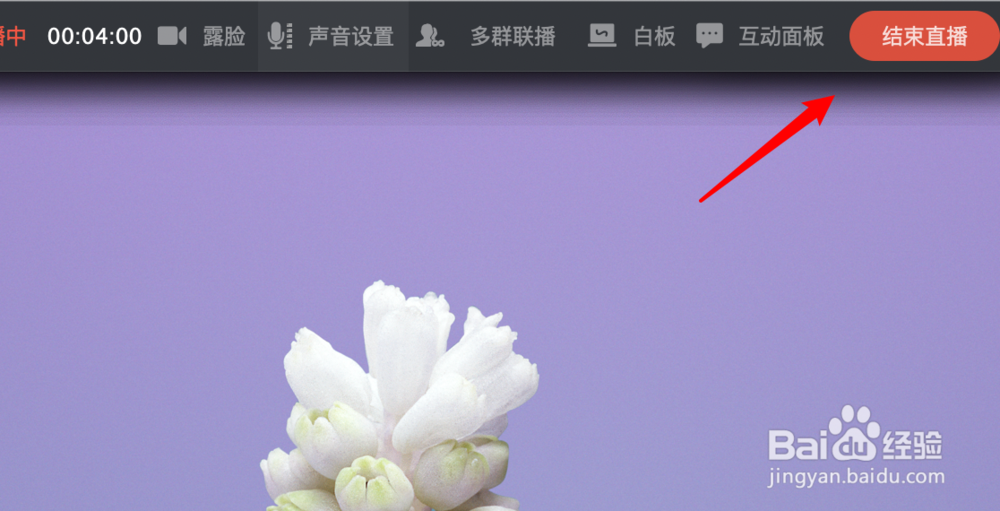 mac版钉钉发起群直播后如何结束直播
