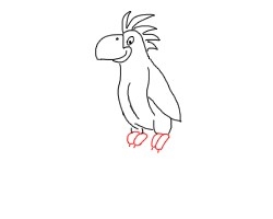 简笔画---怎么画鹦鹉