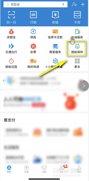蚂蚁森林胡杨怎么种