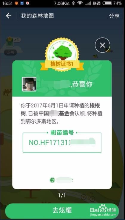 蚂蚁森林怎么种树
