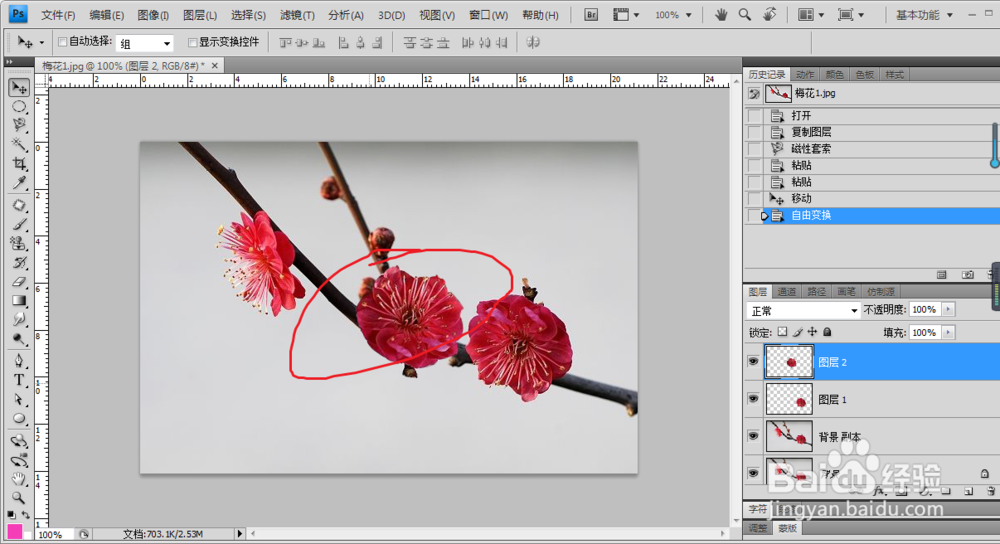 利用ps变换图像