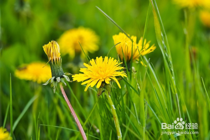 朋友之间最舒服的相处方式？
