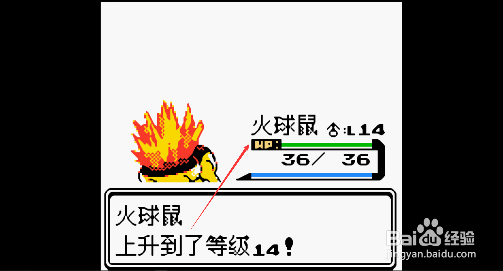 口袋妖怪水晶火球鼠怎么进化