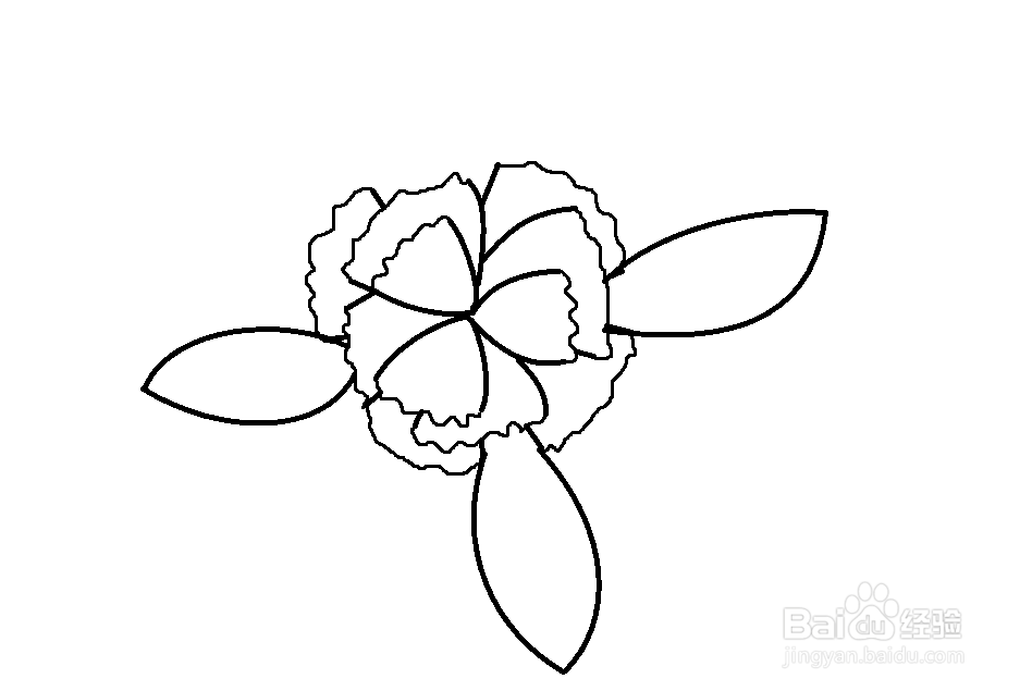 怎么简单画木槿花
