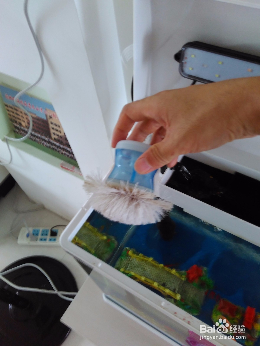 鱼缸的自动清洗方法,省时省力。