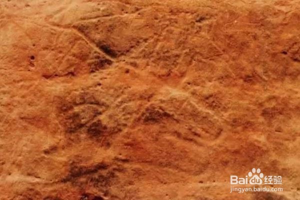 萌芽状态的艺术作品，远古与今日的对话