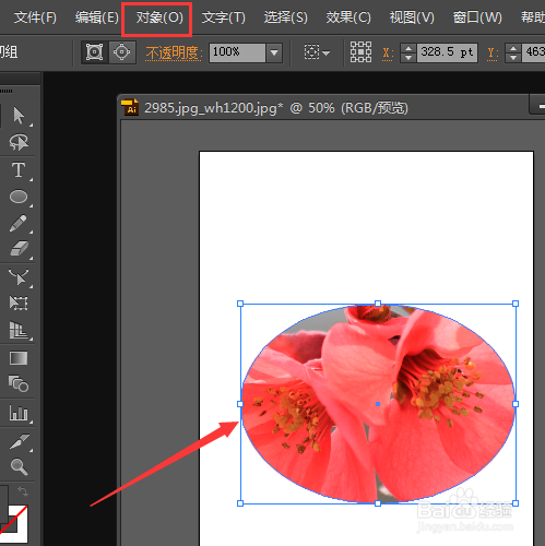 Adobe illustrator 怎样剪切一张图中的一部分？